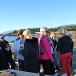 cambria2012_0223 (November 03, 2012)